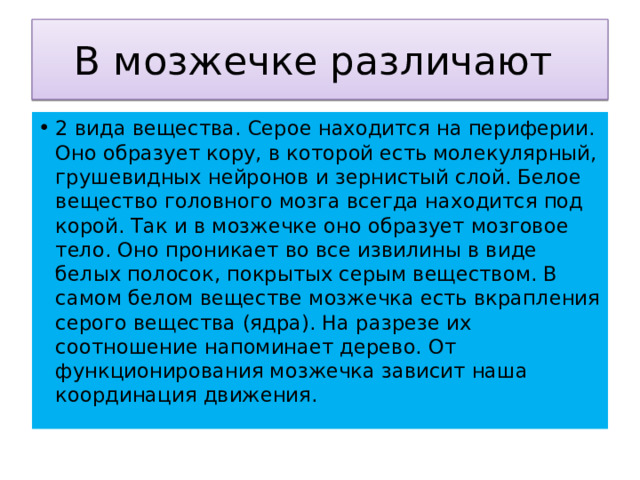 В мозжечке различают 2 вида вещества. Серое находится на периферии. Оно образует кору, в которой есть молекулярный, грушевидных нейронов и зернистый слой. Белое вещество головного мозга всегда находится под корой. Так и в мозжечке оно образует мозговое тело. Оно проникает во все извилины в виде белых полосок, покрытых серым веществом. В самом белом веществе мозжечка есть вкрапления серого вещества (ядра). На разрезе их соотношение напоминает дерево. От функционирования мозжечка зависит наша координация движения. 