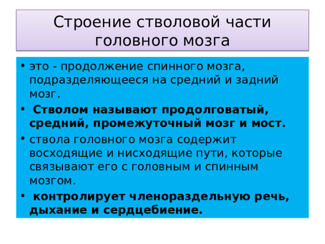 Строение стволовой части головного мозга это - продолжение спинного мозга, подразделяющееся на средний и задний мозг.  Стволом называют продолговатый, средний, промежуточный мозг и мост. ствола головного мозга содержит восходящие и нисходящие пути, которые связывают его с головным и спинным мозгом.   контролирует членораздельную речь, дыхание и сердцебиение. 
