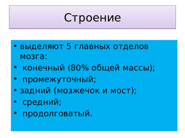 Строение выделяют 5 главных отделов мозга:  конечный (80% общей массы);  промежуточный; задний (мозжечок и мост);  средний;  продолговатый. 