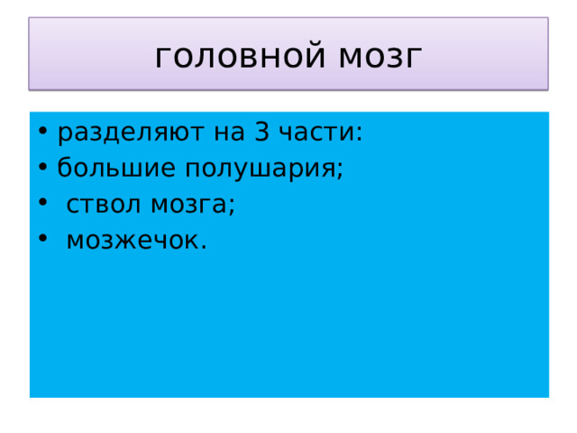 головной мозг разделяют на 3 части: большие полушария;  ствол мозга;  мозжечок. 