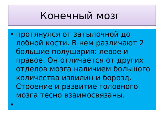 Конечный мозг протянулся от затылочной до лобной кости. В нем различают 2 большие полушария: левое и правое. Он отличается от других отделов мозга наличием большого количества извилин и борозд. Строение и развитие головного мозга тесно взаимосвязаны. 