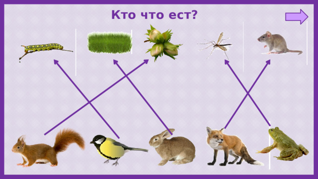 Кто что ест? 