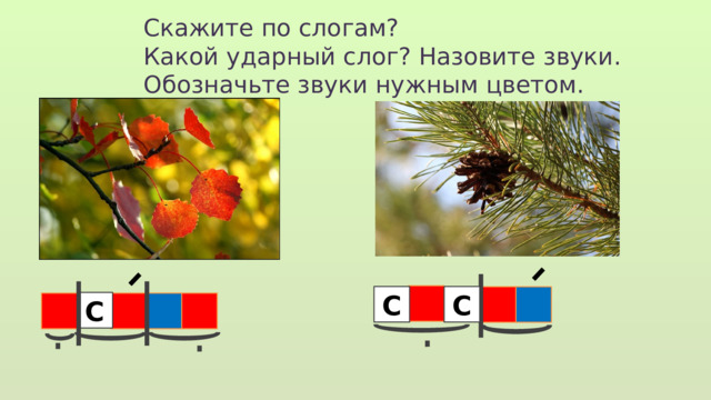 Скажите по слогам? Какой ударный слог? Назовите звуки. Обозначьте звуки нужным цветом. С С  С 