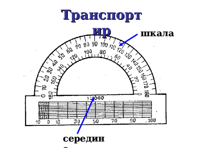 Транспортир шкала середина 