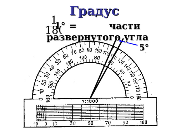 Градус 1° =   части развернутого угла 5 ° 