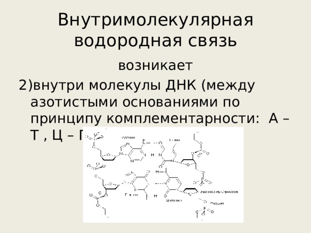 Внутримолекулярная водородная связь возникает 2)внутри молекулы ДНК (между азотистыми основаниями по принципу комплементарности: А – Т , Ц – Г ) 
