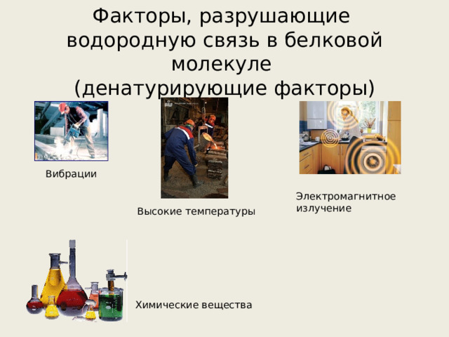 Факторы, разрушающие водородную связь в белковой молекуле  (денатурирующие факторы) Вибрации Электромагнитное излучение  Высокие температуры Химические вещества 