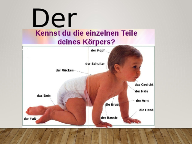 Der Mensch 