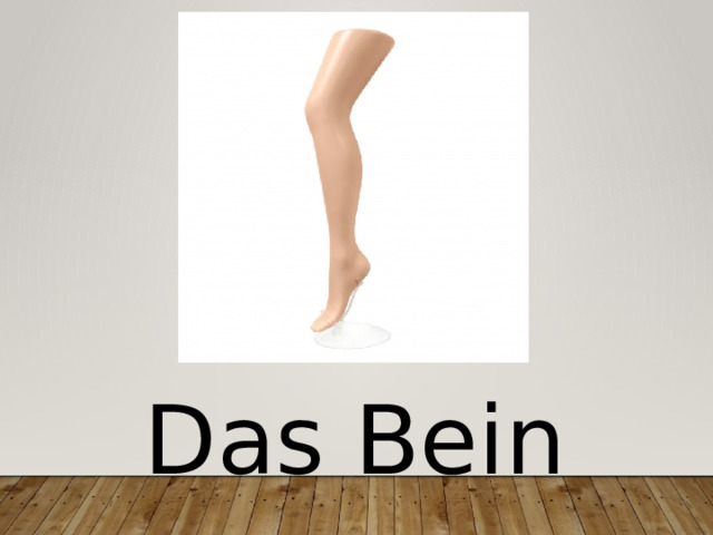 Das Bein 