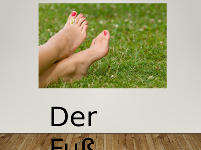 Der Fuß 