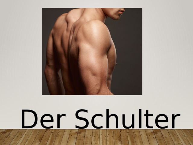 Der Schulter 