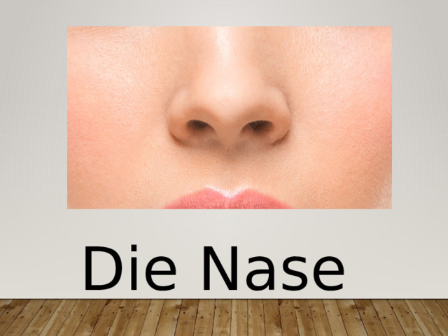 Die Nase 