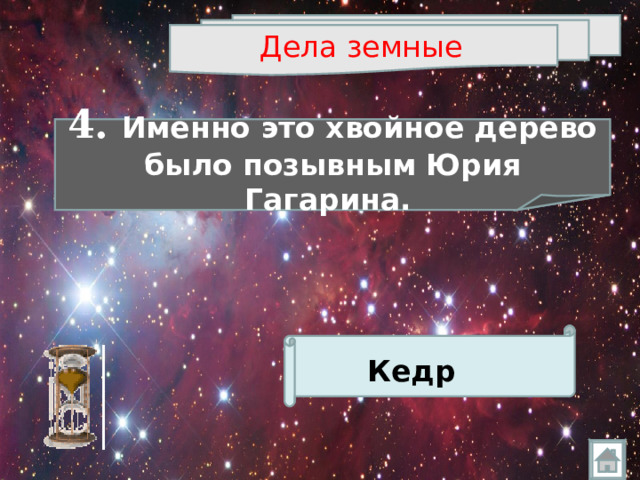 Дела земные  4. Именно это хвойное дерево было позывным Юрия Гагарина.  Кедр   