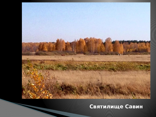 Святилище Савин 