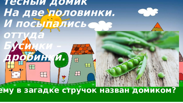 Раскололся тесный домик  На две половинки.  И посыпались оттуда  Бусинки – дробинки. Почему в загадке стручок назван домиком? 