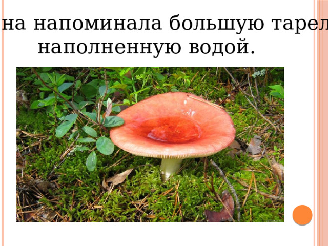  Она напоминала большую тарелку,  наполненную водой. 