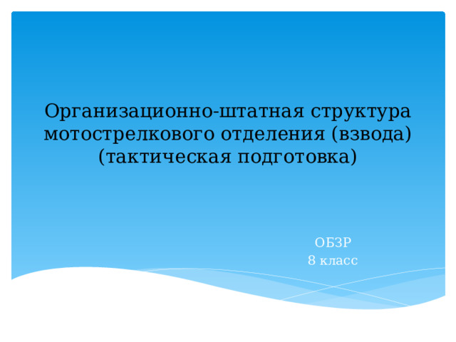 Организационно-штатная структура мотострелкового отделения (взвода) (тактическая подготовка) ОБЗР 8 класс 