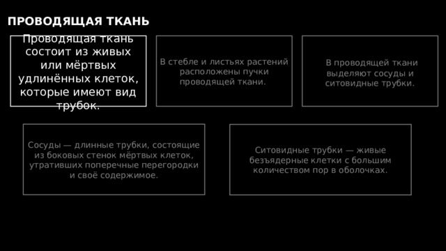 ПРОВОДЯЩАЯ ТКАНЬ Проводящая ткань состоит из живых или мёртвых удлинённых клеток, которые имеют вид трубок. В стебле и листьях растений расположены пучки проводящей ткани.  В проводящей ткани выделяют сосуды и ситовидные трубки. Сосуды — длинные трубки, состоящие из боковых стенок мёртвых клеток, утративших поперечные перегородки и своё содержимое. Ситовидные трубки — живые безъядерные клетки с большим количеством пор в оболочках. 