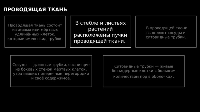 ПРОВОДЯЩАЯ ТКАНЬ Проводящая ткань состоит из живых или мёртвых удлинённых клеток, которые имеют вид трубок. В стебле и листьях растений расположены пучки проводящей ткани.  В проводящей ткани выделяют сосуды и ситовидные трубки. Сосуды — длинные трубки, состоящие из боковых стенок мёртвых клеток, утративших поперечные перегородки и своё содержимое. Ситовидные трубки — живые безъядерные клетки с большим количеством пор в оболочках . 