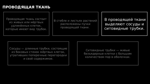 ПРОВОДЯЩАЯ ТКАНЬ Проводящая ткань состоит из живых или мёртвых удлинённых клеток, которые имеют вид трубок. В стебле и листьях растений расположены пучки проводящей ткани.  В проводящей ткани выделяют сосуды и ситовидные трубки. Сосуды — длинные трубки, состоящие из боковых стенок мёртвых клеток, утративших поперечные перегородки и своё содержимое. Ситовидные трубки — живые безъядерные клетки с большим количеством пор в оболочках. 