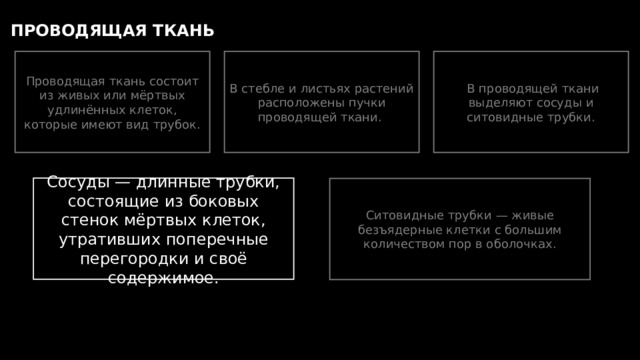 ПРОВОДЯЩАЯ ТКАНЬ Проводящая ткань состоит из живых или мёртвых удлинённых клеток, которые имеют вид трубок. В стебле и листьях растений расположены пучки проводящей ткани.  В проводящей ткани выделяют сосуды и ситовидные трубки. Сосуды — длинные трубки, состоящие из боковых стенок мёртвых клеток, утративших поперечные перегородки и своё содержимое. Ситовидные трубки — живые безъядерные клетки с большим количеством пор в оболочках. 