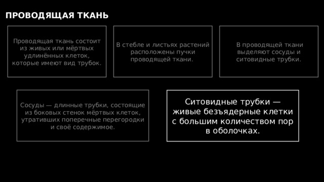 ПРОВОДЯЩАЯ ТКАНЬ Проводящая ткань состоит из живых или мёртвых удлинённых клеток, которые имеют вид трубок. В стебле и листьях растений расположены пучки проводящей ткани.  В проводящей ткани выделяют сосуды и ситовидные трубки. Сосуды — длинные трубки, состоящие из боковых стенок мёртвых клеток, утративших поперечные перегородки и своё содержимое. Ситовидные трубки — живые безъядерные клетки с большим количеством пор в оболочках. 