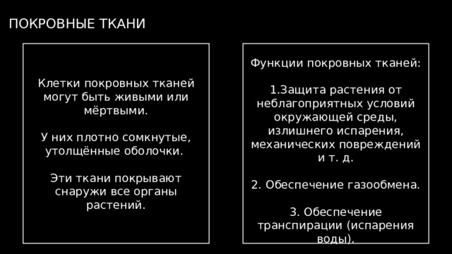 ПОКРОВНЫЕ ТКАНИ Клетки покровных тканей могут быть живыми или мёртвыми. Функции покровных тканей: У них плотно сомкнутые, утолщённые оболочки. 1.Защита растения от неблагоприятных условий окружающей среды, излишнего испарения, механических повреждений и т. д. Эти ткани покрывают снаружи все органы растений. 2. Обеспечение газообмена. 3. Обеспечение транспирации (испарения воды). 