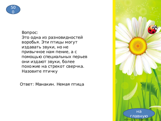 500 Вопрос: Это одна из разновидностей воробья. Эти птицы могут издавать звуки, но не привычное нам пение, а с помощью специальных перьев они издают звуки, более похожие на стрекот сверчка. Назовите птичку Ответ: Манакин. Немая птица на главную 