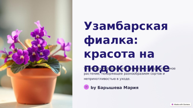 Узамбарская фиалка: красота на подоконнике Узамбарская фиалка, или сенполия, – очаровательное растение, покоряющее разнообразием сортов и неприхотливостью в уходе. by Барышева Мария БМ  