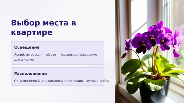 Выбор места в квартире Освещение Яркий, но рассеянный свет – идеальное освещение для фиалки. Расположение Окна восточной или западной ориентации – лучший выбор.  