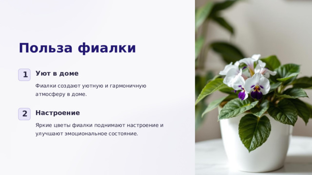 Польза фиалки Уют в доме 1 Фиалки создают уютную и гармоничную атмосферу в доме. Настроение 2 Яркие цветы фиалки поднимают настроение и улучшают эмоциональное состояние.  