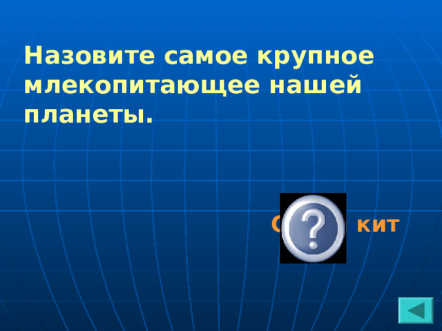 Назовите самое крупное млекопитающее нашей планеты. Синий кит 