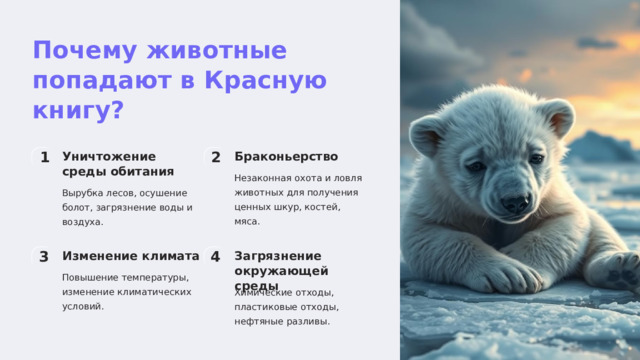 Почему животные попадают в Красную книгу? Браконьерство Уничтожение среды обитания 1 2 Незаконная охота и ловля животных для получения ценных шкур, костей, мяса. Вырубка лесов, осушение болот, загрязнение воды и воздуха. Изменение климата Загрязнение окружающей среды 3 4 Повышение температуры, изменение климатических условий. Химические отходы, пластиковые отходы, нефтяные разливы.  