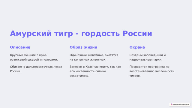 Амурский тигр - гордость России Описание Образ жизни Охрана Крупный хищник с ярко-оранжевой шкурой и полосами. Одиночные животные, охотятся на копытных животных. Созданы заповедники и национальные парки. Обитает в дальневосточных лесах России. Занесен в Красную книгу, так как его численность сильно сократилась. Проводятся программы по восстановлению численности тигров.  