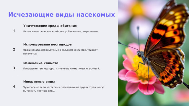 Исчезающие виды насекомых Уничтожение среды обитания Интенсивное сельское хозяйство, урбанизация, загрязнение. Использование пестицидов Ядохимикаты, используемые в сельском хозяйстве, убивают насекомых. Изменение климата Повышение температуры, изменение климатических условий. Инвазивные виды Чужеродные виды насекомых, завезенные из других стран, могут вытеснить местные виды.  
