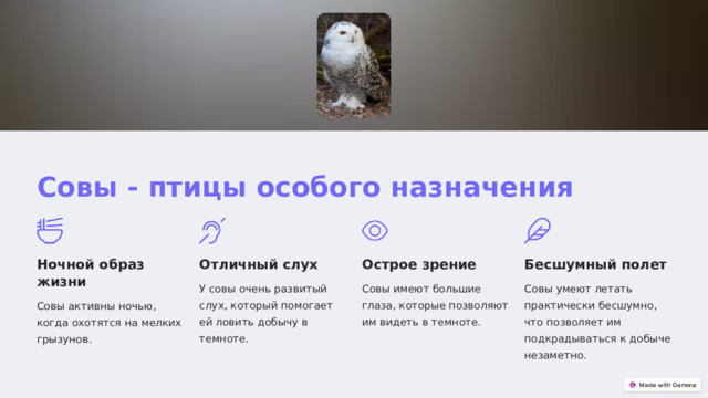 Совы - птицы особого назначения Ночной образ жизни Отличный слух Острое зрение Бесшумный полет У совы очень развитый слух, который помогает ей ловить добычу в темноте. Совы имеют большие глаза, которые позволяют им видеть в темноте. Совы умеют летать практически бесшумно, что позволяет им подкрадываться к добыче незаметно. Совы активны ночью, когда охотятся на мелких грызунов.  