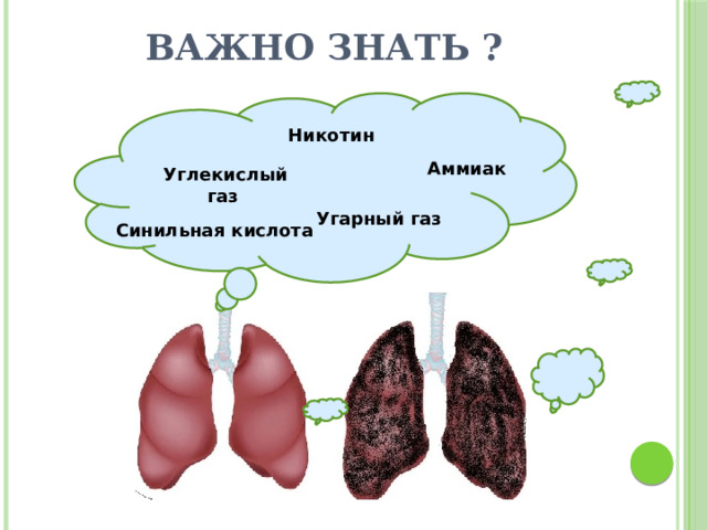 Важно знать ? Никотин Аммиак Углекислый газ Угарный газ Синильная кислота 