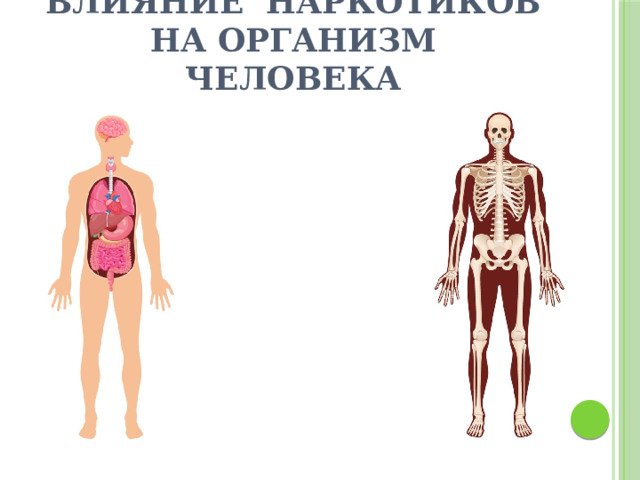 Влияние наркотиков на организм человека Гибель клеток мозга Повреждение печени Заболевание СПИДом Галлюцинации  Деградация Гибель организма 