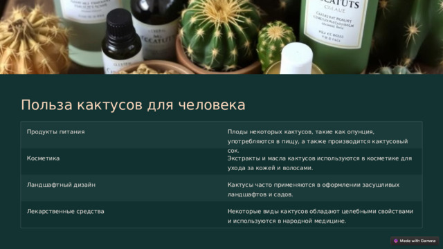 Польза кактусов для человека Продукты питания Плоды некоторых кактусов, такие как опунция, употребляются в пищу, а также производится кактусовый сок. Косметика Экстракты и масла кактусов используются в косметике для ухода за кожей и волосами. Ландшафтный дизайн Кактусы часто применяются в оформлении засушливых ландшафтов и садов. Лекарственные средства Некоторые виды кактусов обладают целебными свойствами и используются в народной медицине.  
