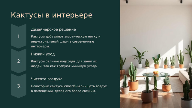Кактусы в интерьере Дизайнерское решение Кактусы добавляют экзотическую нотку и индустриальный шарм в современные интерьеры. Низкий уход Кактусы отлично подходят для занятых людей, так как требуют минимум ухода. Чистота воздуха Некоторые кактусы способны очищать воздух в помещении, делая его более свежим.  