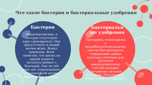 Что такое бактерии и бактериальные удобрения Бактерии Бактериальные удобрения Микроорганизмы, в которых отсутствует ядро (прокариоты). Они присутствуют в нашей жизни везде. Живут доменами. Всем известно, что жизнь на нашей планете началась именно с бактерий. Они по сей день нас сопровождают в течение всей жизни, помогая нам и убивая нас. Препараты, относящиеся к микробиологическимнокулянтам (биопрепараты, содержащие живые культуры полезных для растений микроорганизмов), способствующие улучшению питания растений. Питательных веществ они не содержат. 