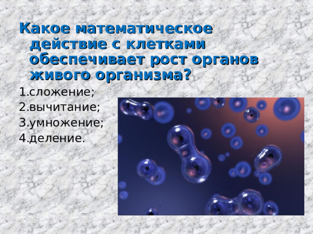 Какое математическое действие с клетками обеспечивает рост органов живого организма? сложение; вычитание; умножение; деление. 