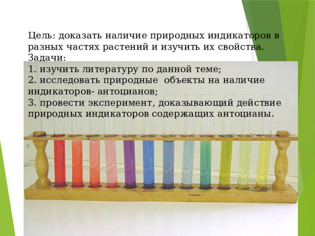  Цель: доказать наличие природных индикаторов в разных частях растений и изучить их свойства.  Задачи:  1. изучить литературу по данной теме;  2. исследовать природные объекты на наличие индикаторов- антоцианов;  3. провести эксперимент, доказывающий действие природных индикаторов содержащих антоцианы.   
