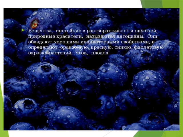 Вещества, нестойкие в растворах кислот и щелочей, природные красители, называются антоцианы. Они обладают хорошими индикаторными свойствами, и определяют оранжевую, красную, синюю, фиолетовую окраску растений, ягод, плодов 