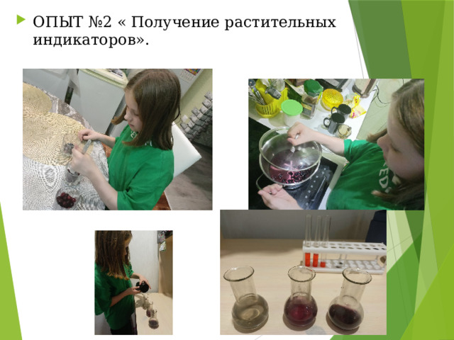 ОПЫТ №2 « Получение растительных индикаторов». 
