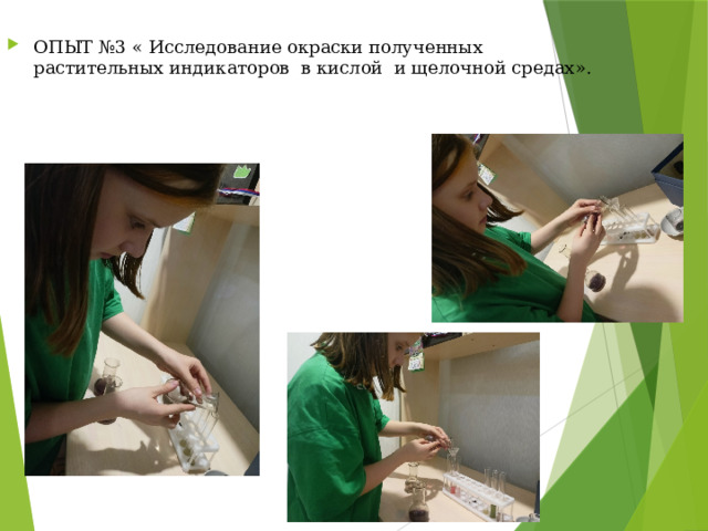 ОПЫТ №3 « Исследование окраски полученных растительных индикаторов в кислой и щелочной средах». 