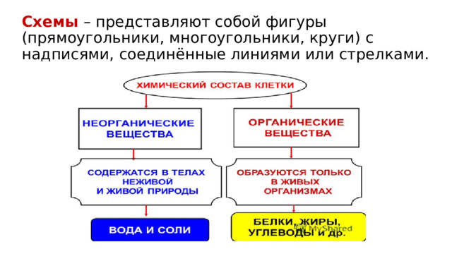 Схемы – представляют собой фигуры (прямоугольники, многоугольники, круги) с надписями, соединённые линиями или стрелками. 