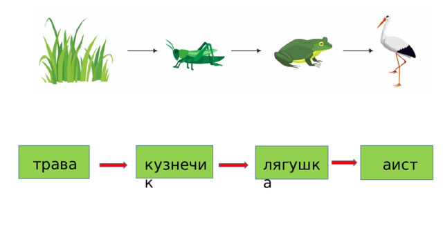 трава кузнечик лягушка аист 