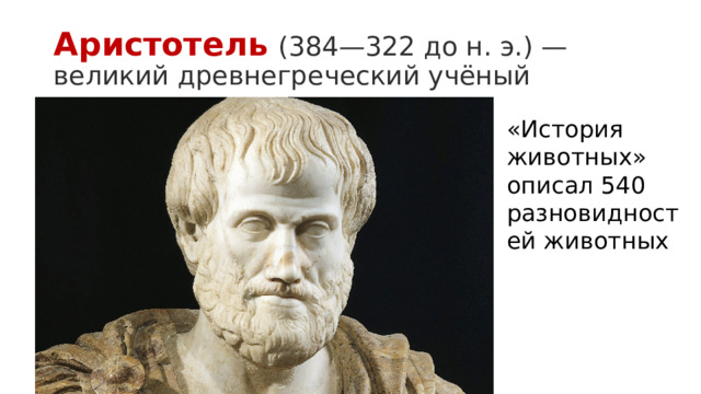 Аристотель   (384—322 до н. э.) — великий древнегреческий учёный «История животных» описал 540 разновидностей животных 