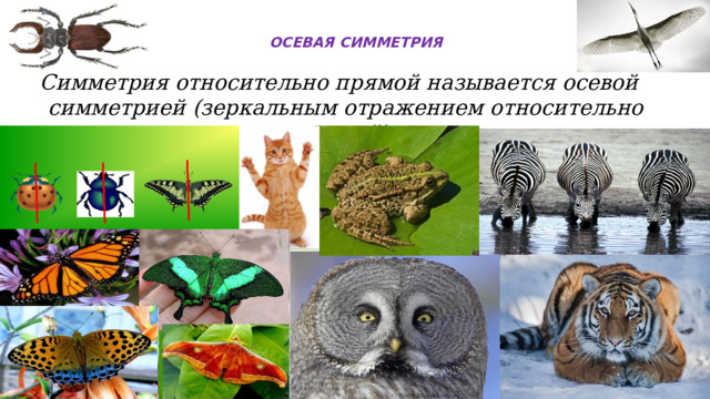  ОСЕВАЯ СИММЕТРИЯ   Симметрия относительно прямой называется осевой симметрией (зеркальным отражением относительно прямой). 